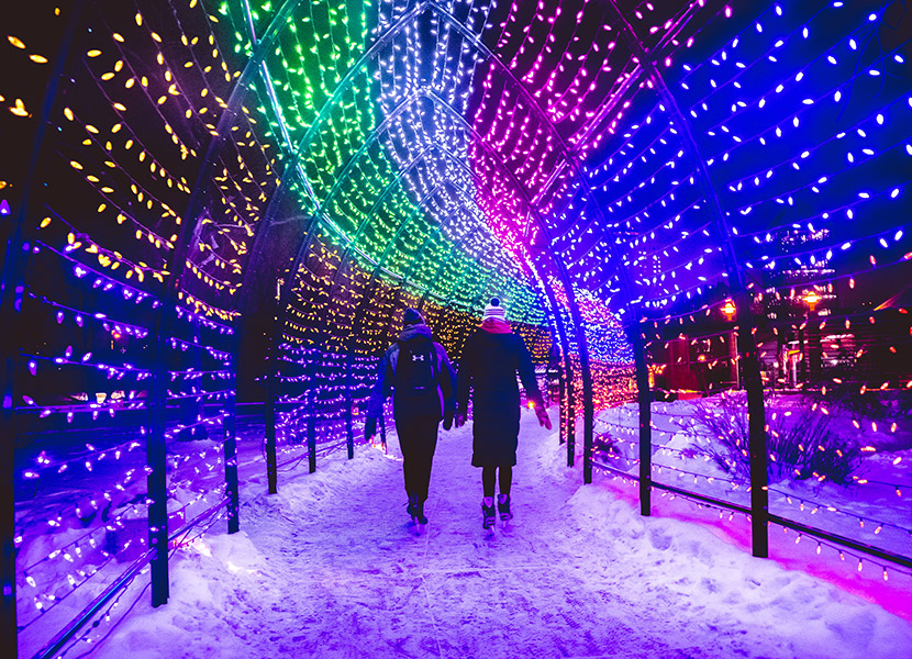 위니펙에서의 생활 - 겨울 조명